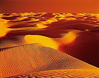 Steam新一周销量榜 《霍格沃茨之遗》三连冠