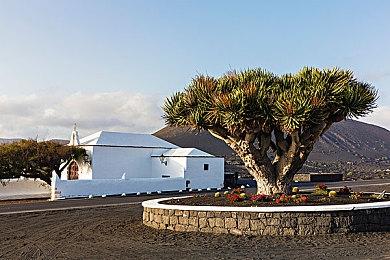 《审判之逝：湮灭的记忆》DLC“海藤正治事件簿” 战斗风格介绍